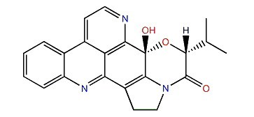 Sebastianine B